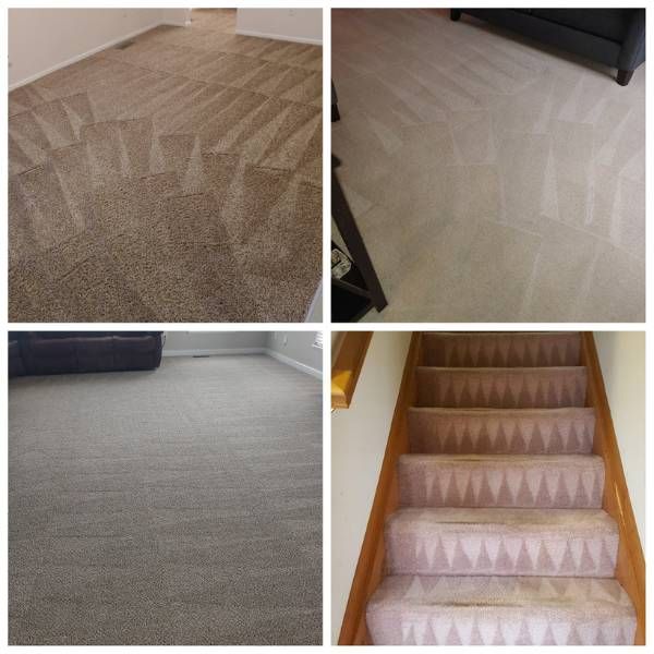 Whole Home Carpet Cleaning